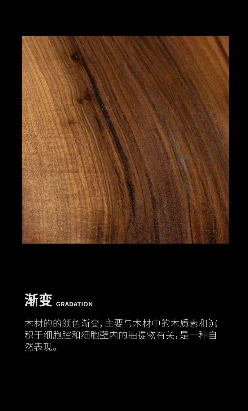ae7ea7f4-b_-1550561916.jpg