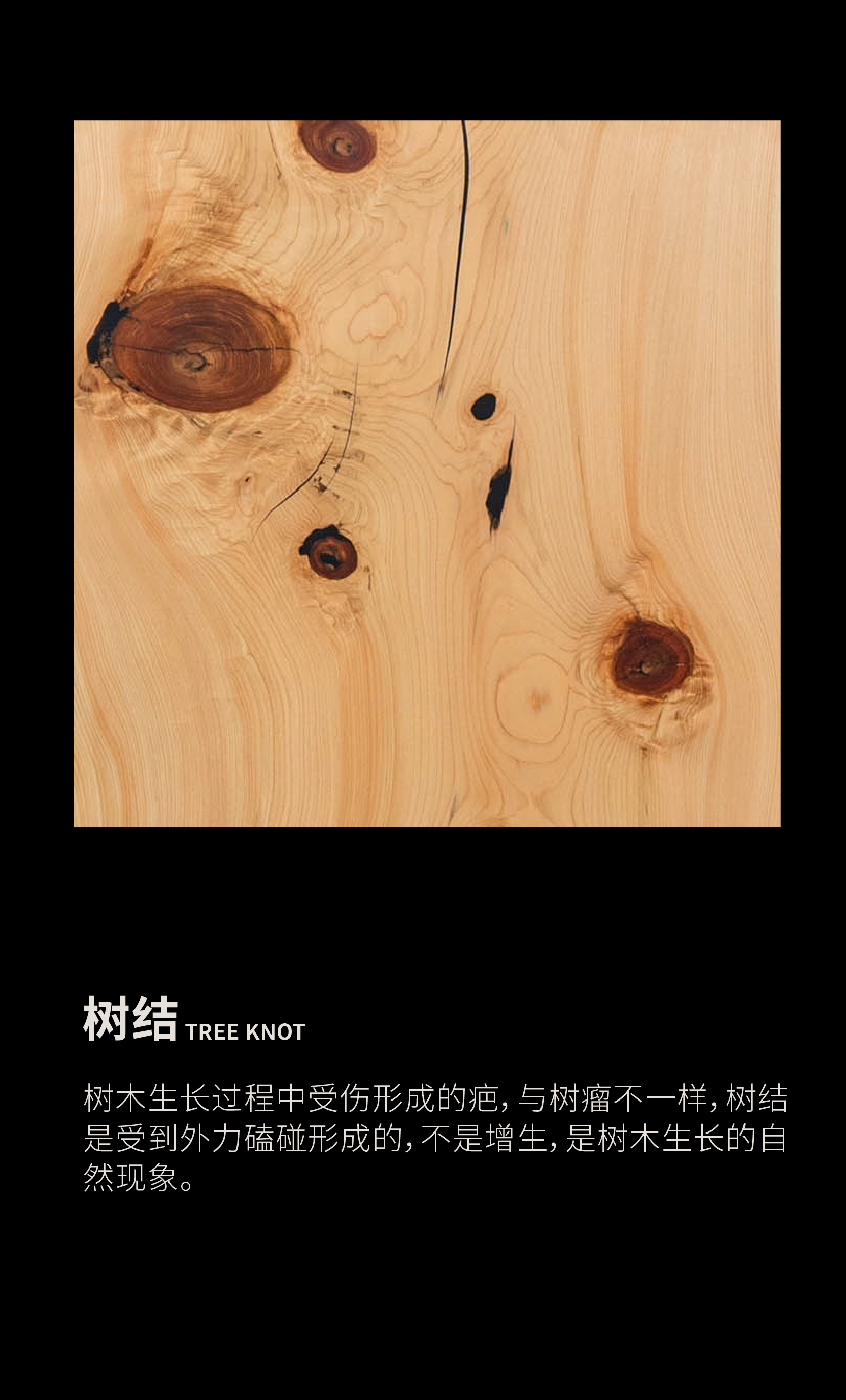 ce652b0b-f_1593364187.jpg