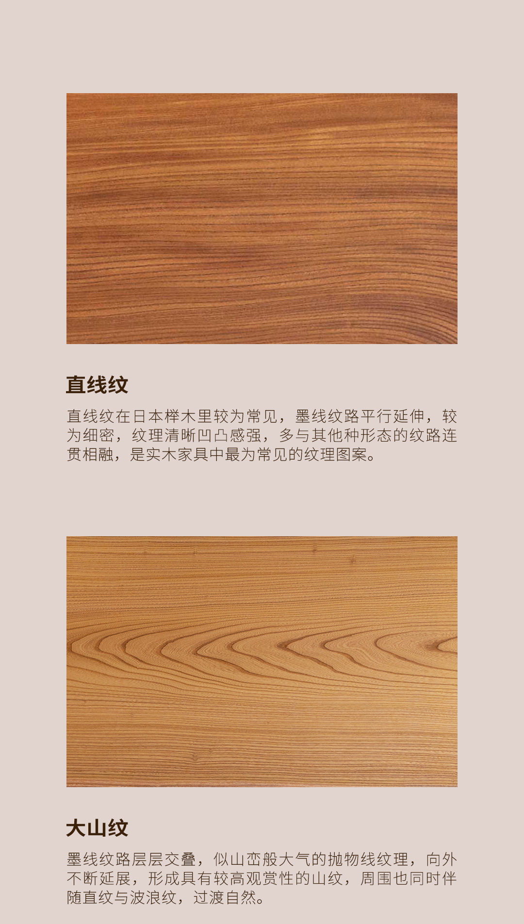 5309cbec-a_2117106334.jpg